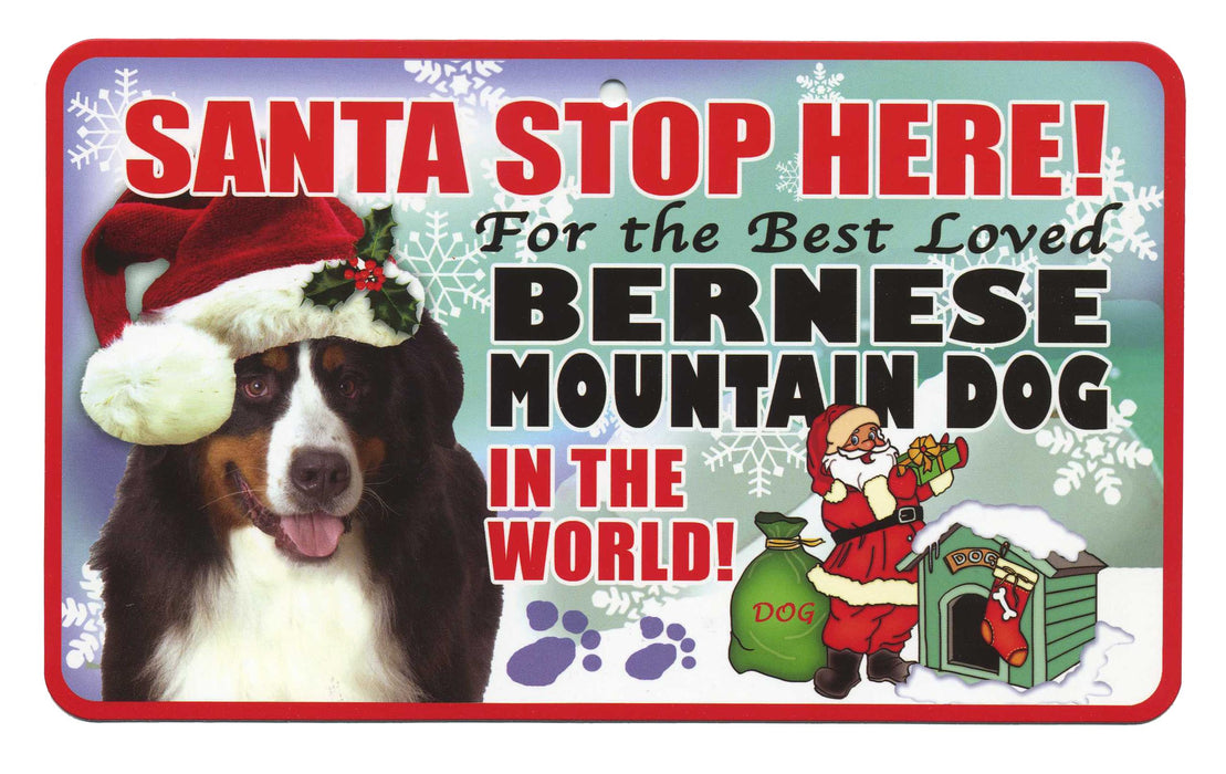 PSS007 Santa Stop Here Sign - Bichon Frise