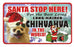 PSS018 Santa Stop Here Sign - Multi-Coloured Chihuahua