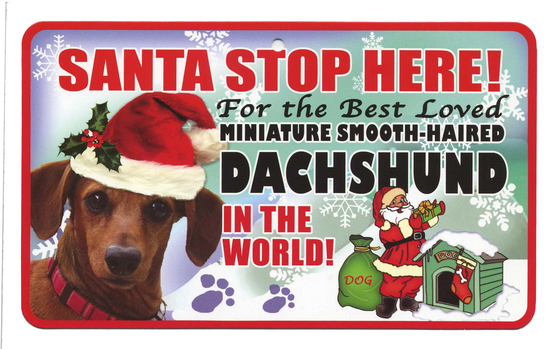 PSS024 Santa Stop Here Sign - Miniature Wire Haired Dachshund