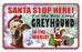 PSS036 Santa Stop Here Sign - Hungarian Vizsla