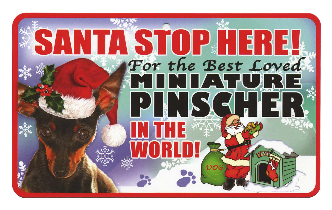 PSS048 Santa Stop Here Sign - Miniature Schnauzer