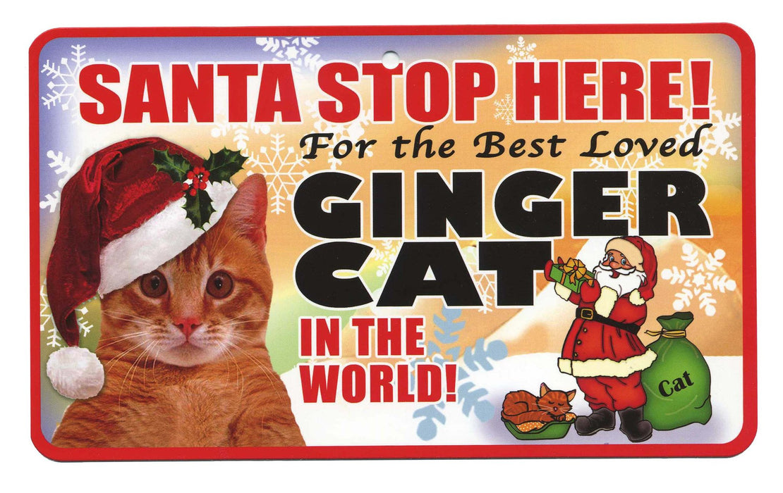 PSS082 Santa Stop Here Sign - Persian Cat