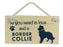 Wooden Pet Sign - Border Collie