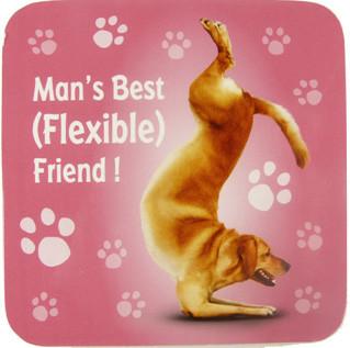 Flexible Friend Dog Coaster - Yoga Pets