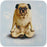 Pug Tastic Dog Coaster - Yoga Pets 