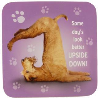 Upside Down Dog Coaster - Yoga Pets 