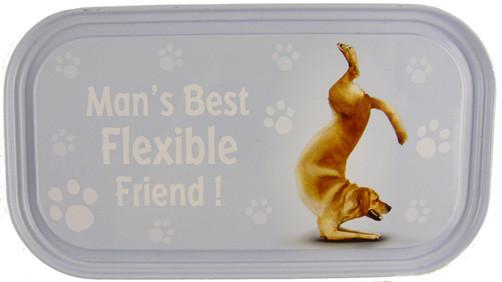 Flexible Friend Dog Fridge Magnet - Yoga Pets