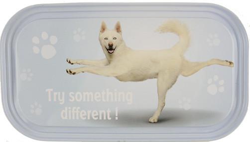 Try Something Dog Fridge Magnet - Yoga Pets