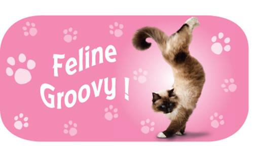 Feline Groovy Cat Fridge Magnet - Yoga Pets